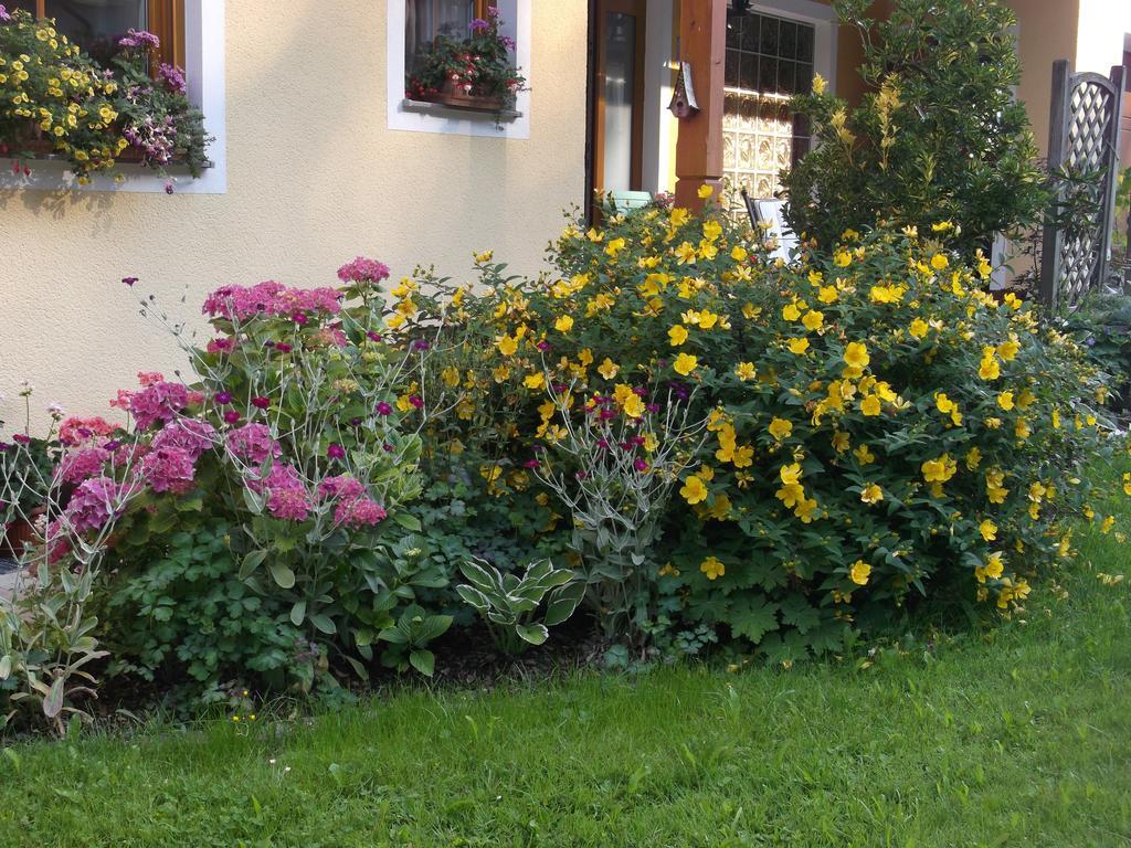 Haus Margit Daire Schlierbach Dış mekan fotoğraf